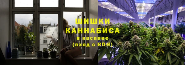Альфа ПВП Алзамай