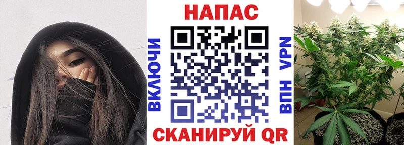 Бошки марихуана ГИДРОПОН  Тихвин 